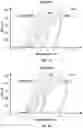 Fig. 10 - Surgical fixation systems and methods