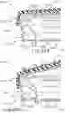 Fig. 31 - Decoupling mechanism for linear surgical stapler