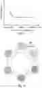 Fig. 11 - Catheter