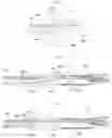 Fig. 18 - Catheter