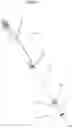 Fig. 03 - Orthopaedic device