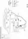 Fig. 04 - Device and method for tracking the position of an endoscope within a patient's body
