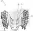 Fig. 01 - Arch adjustment appliance