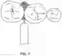 Fig. 08 - Kite Gum Brush