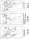 Fig. 05 - Surgical articles and methods