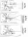 Fig. 07 - Surgical articles and methods