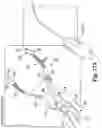Fig. 19 - Surgical articles and methods