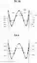 Fig. 04 - Stent-graft