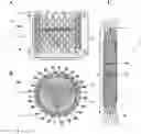 Fig. 01 - Valve prosthesis