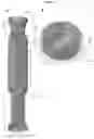 Fig. 06 - Valve prosthesis