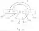 Fig. 05 - Treatment catheter member with encircling function
