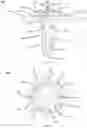 Fig. 46 - PARTIAL JOINT RESURFACING IMPLANT, INSTRUMENTATION, AND METHOD