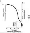 Fig. 06 - Series elastic power modulation for robotic locomotion
