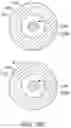 Fig. 40 - Bifurcated implant delivery system