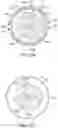Fig. 53 - Bifurcated implant delivery system