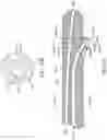 Fig. 24 - Method and apparatuses for deploying an implant