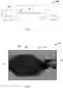 Fig. 03 - Projection frame eyelid heater