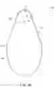 Fig. 34 - FINGERTIP CLEANING APPARATUS