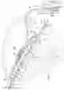 Fig. 02 - Reduced-Pressure, Linear-Wound Treatment Systems