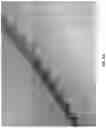 Fig. 16 - Wound closure devices