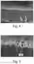Fig. 04 - Absorbent articles comprising stretch laminates
