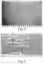 Fig. 05 - Absorbent articles comprising stretch laminates