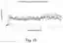 Fig. 13 - Absorbent articles comprising stretch laminates