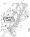 Fig. 07 - Stretcher with integrated child restraint