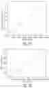 Fig. 08 - PECVD coated pharmaceutical packaging