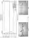 Fig. 50 - Glass containers with improved strength and improved damage tolerance