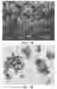 Fig. 02 - POLYUREA OR POLYURETHANE CAPSULES