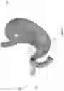 Fig. 10 - Controlled release capsule