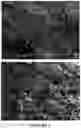 Fig. 02 - Solid dosage form