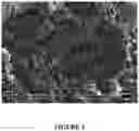 Fig. 04 - Solid dosage form