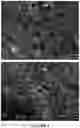 Fig. 05 - Solid dosage form