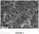 Fig. 07 - Solid dosage form