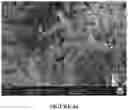 Fig. 70 - Solid dosage form