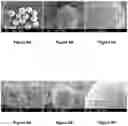 Fig. 07 - EXTENDED RELEASE FORMULATIONS OF CANNABINOIDS