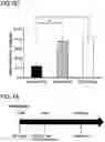 Fig. 13 - Methods of delivering a neuroprotective polypeptide to the central nervous system