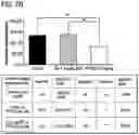Fig. 14 - Methods of delivering a neuroprotective polypeptide to the central nervous system