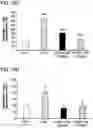 Fig. 30 - Methods of delivering a neuroprotective polypeptide to the central nervous system