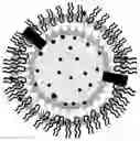 Fig. 01 - EXOSOME-BASED NANOPARTICLE COMPOSITE AND METHOD FOR PREPARING THE SAME