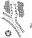 Fig. 04 - EXOSOME-BASED NANOPARTICLE COMPOSITE AND METHOD FOR PREPARING THE SAME