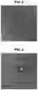 Fig. 05 - EXOSOME-BASED NANOPARTICLE COMPOSITE AND METHOD FOR PREPARING THE SAME
