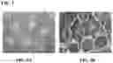 Fig. 04 - POLYMERIC NANOPARTICLES COMPRISING SALINOMYCIN