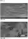 Fig. 06 - POLYMERIC NANOPARTICLES COMPRISING SALINOMYCIN