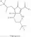 Fig. 02 - Composition of curcumagalactomannoside and hops extract