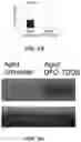 Fig. 05 - IRON CHELATOR THERAPY METHOD