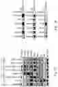 Fig. 02 - BUPROPION AND PHARMACEUTICAL COMPOSITION FOR TREATING CANCER AND METHOD FOR INHIBITING MIGRATION OF TUMOR CELLS