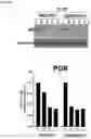 Fig. 19 - Methods For Treating Cancer